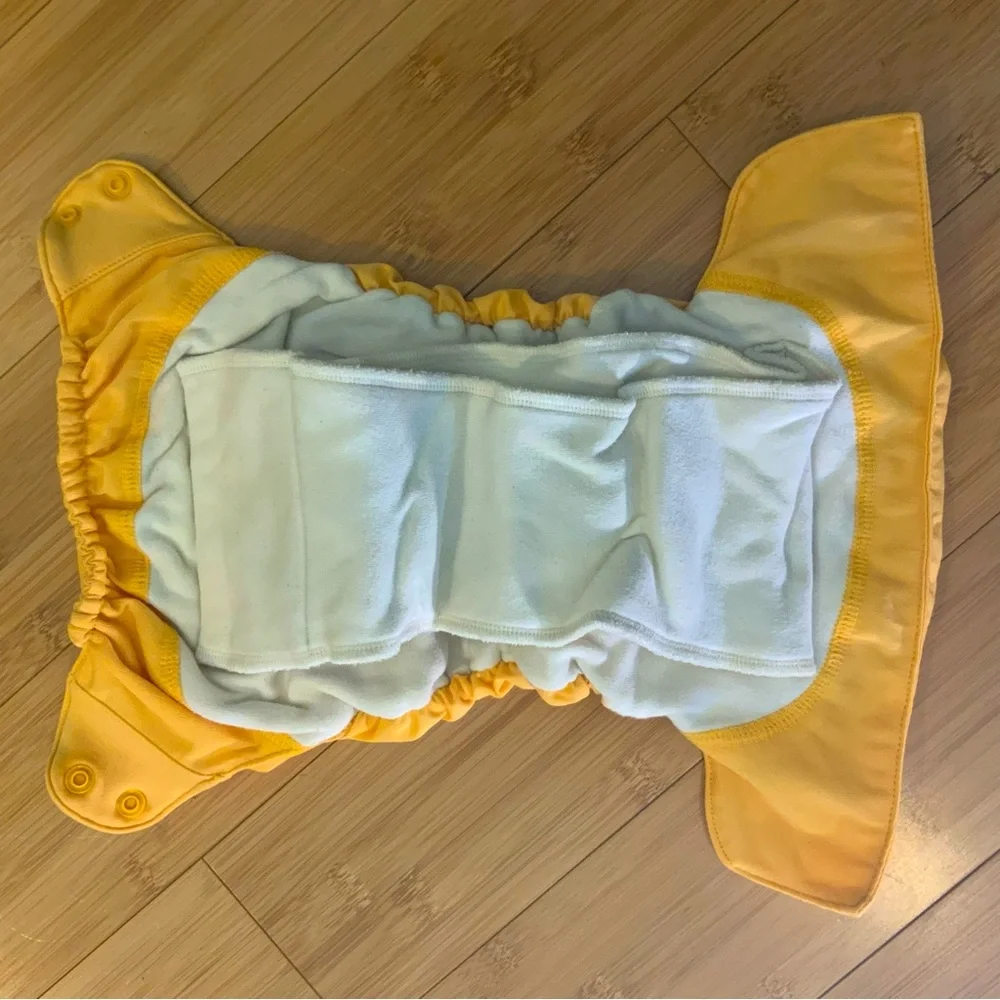 Bum Genius Cloth Diaper All In One E3